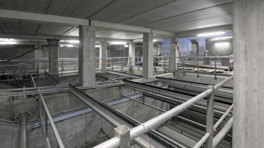 Schema Depurativo di Levanto